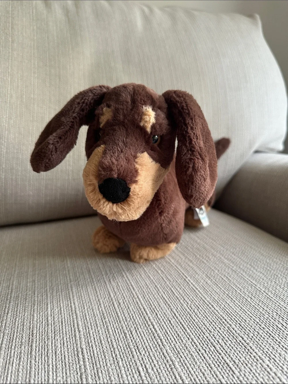 Jellycat Otto sausage dog